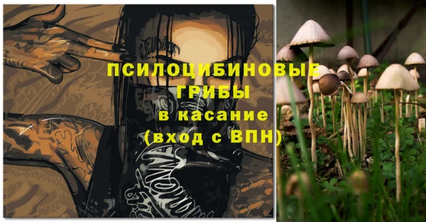ECSTASY Заволжье