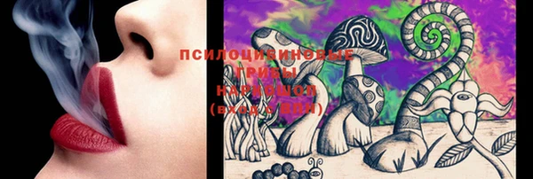 молекула духа Зеленокумск